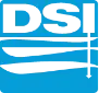 DSI Logo